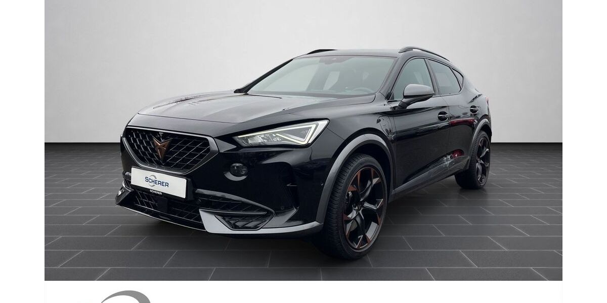 Cupra Formentor 44.378 km 25.480 &euro; Mainz 55129