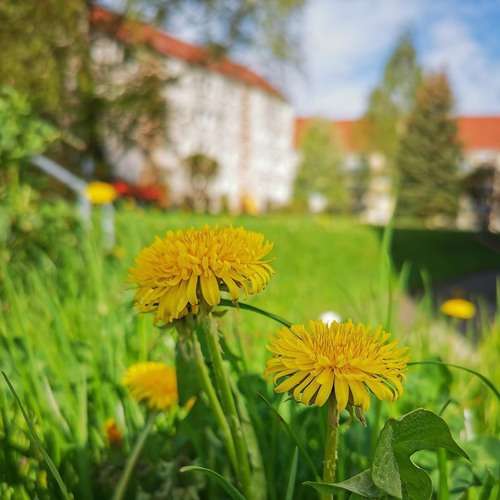 Wohnung zum Mieten in Freiberg 302 € 47 m²