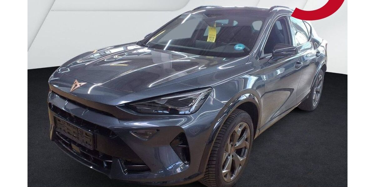 Cupra Formentor 18.900 km 33.420 &euro; Wackersdorf 92442