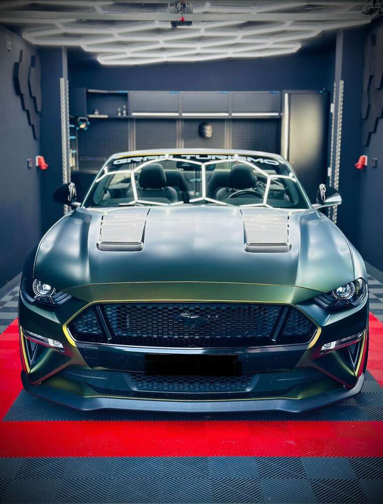 Mustang