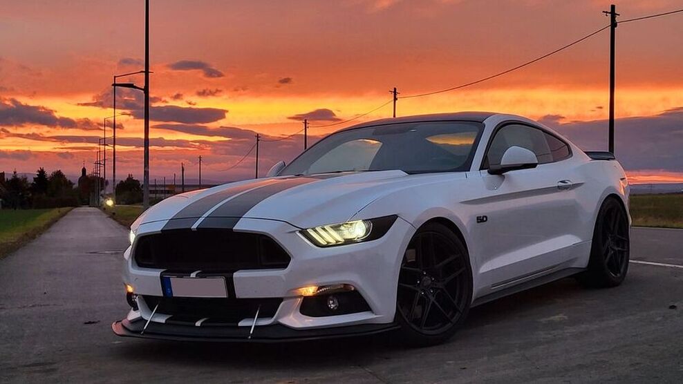 Mustang