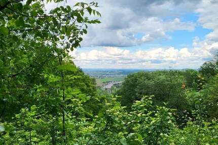 Grundstück zu verkaufen in Leonberg 1.400.000 € 1790 m²