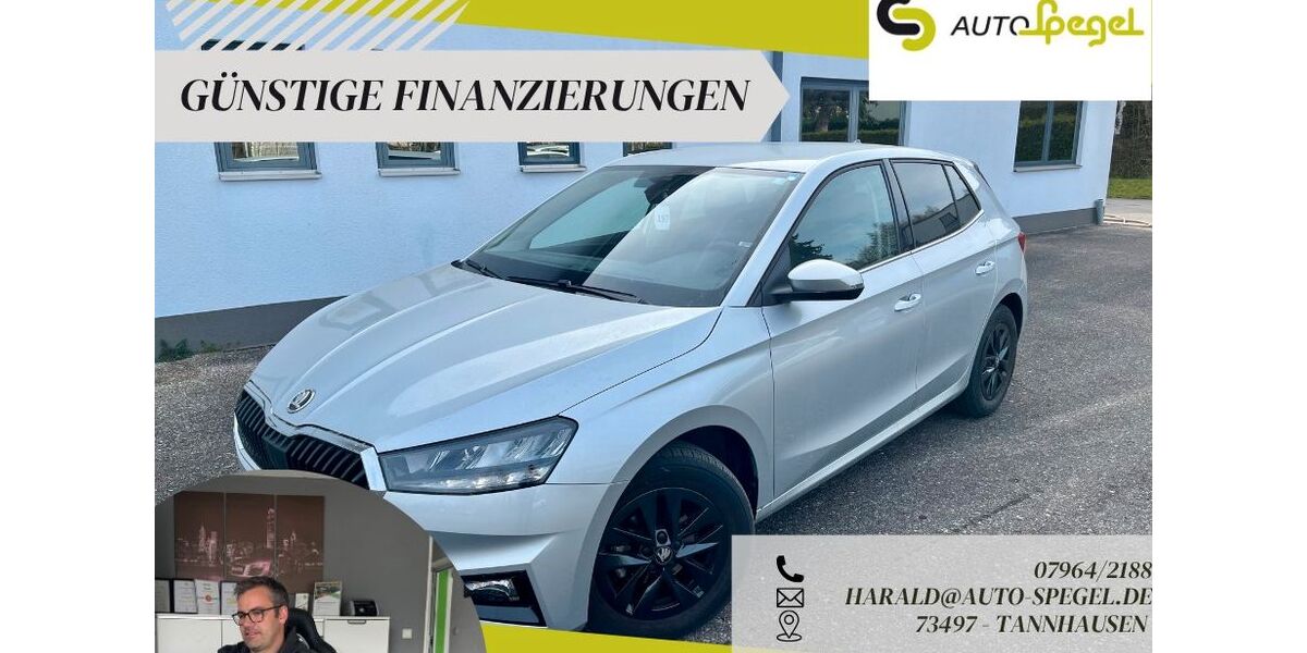 Skoda Fabia 13.444 km 16.390 &euro; Tannhausen 73497