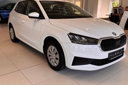 Skoda Fabia 101.223 km 10.995 &euro; Ziethen 17390