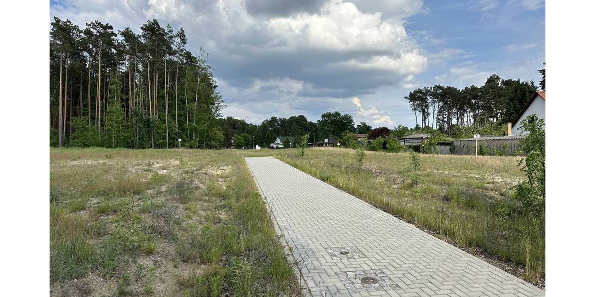 Zu Fuß zum Scharmützelsee: attraktive Baugrundstücke in Wendisch Rietz - Grundstück Wendisch Rietz Wendisch Rietz | Angebot:22940355