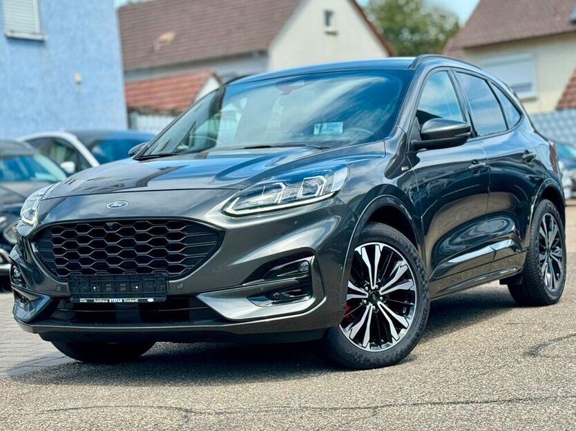 Kuga
