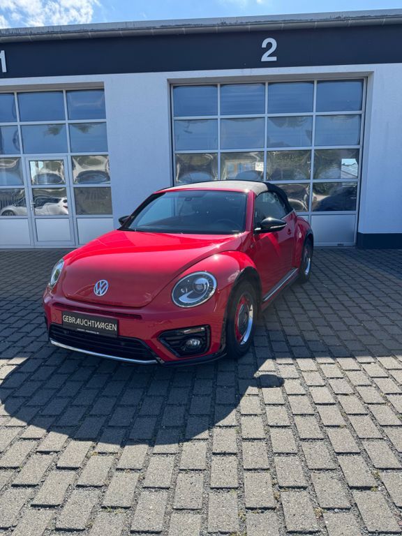 Beetle