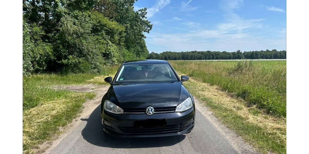 VW Golf 173.433 km 7.500 &euro; Spelle 48480