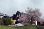 Einfamilienhaus Fuldatal - 5 Zimmer, 163 m&sup2;, 360.000&euro; | Angebot:27077559