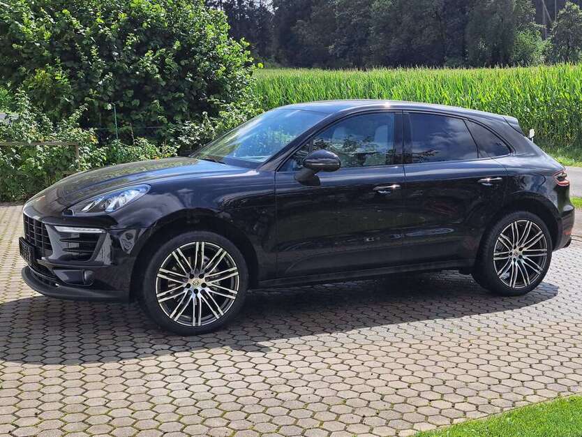 Macan