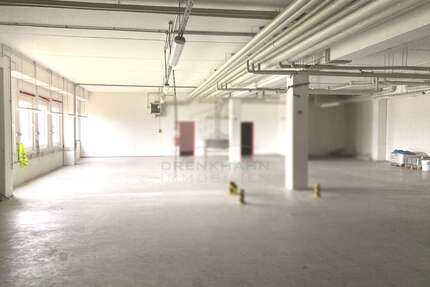 Halle in Ziesendorf 1.750 € 500 m²
