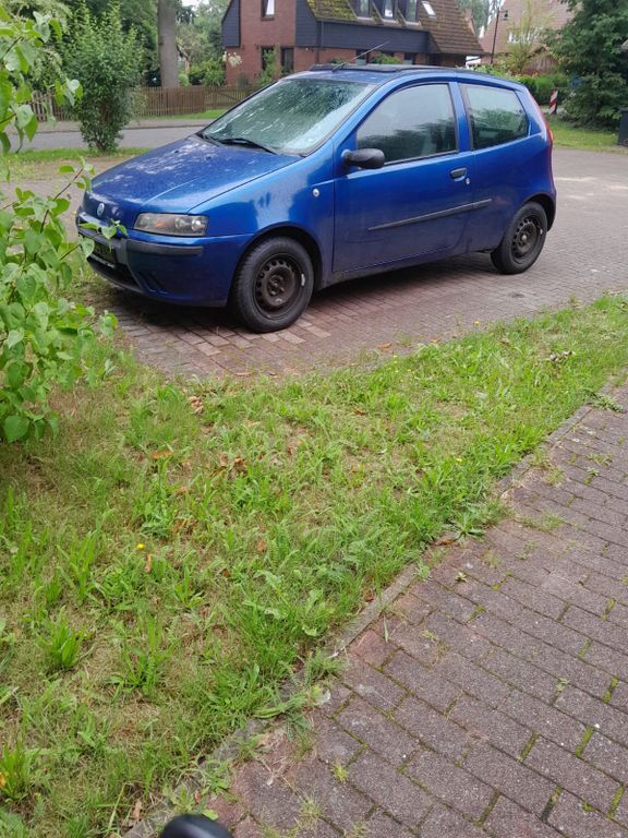 Punto