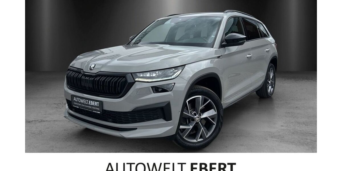 Skoda Kodiaq 75.600 km 36.490 &euro; Heidelberg 69123