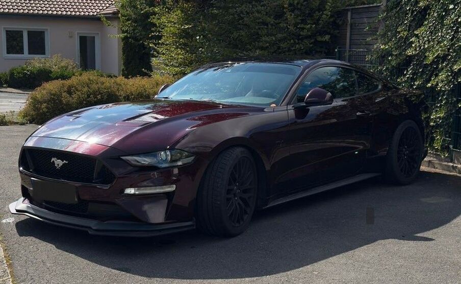 Mustang