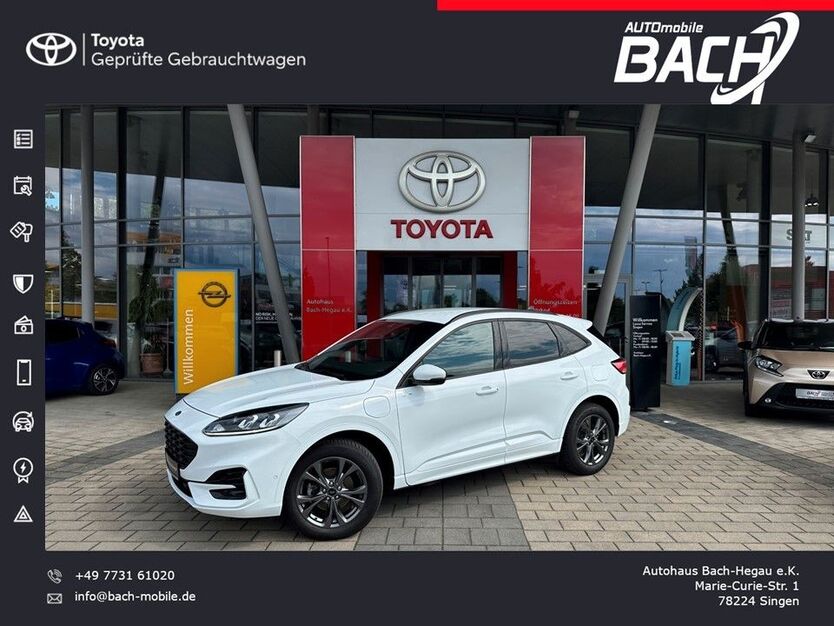 Kuga