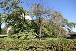 Grundstück Kusterdingen - 900.000&euro; | Angebot:26686767