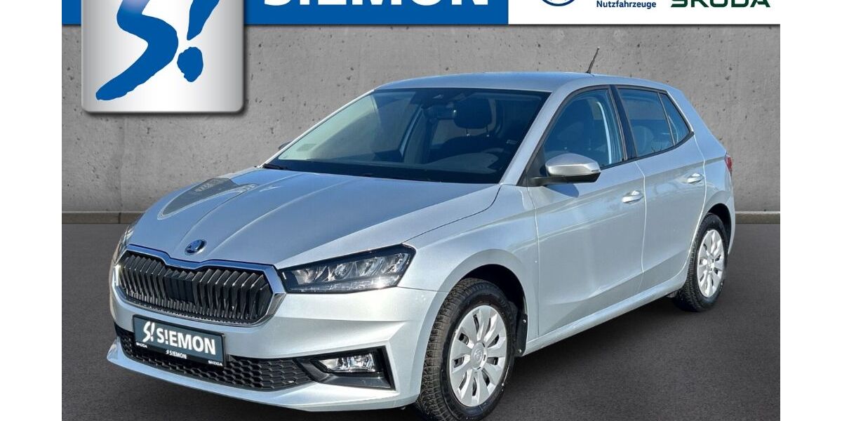 Skoda Fabia 8.659 km 16.930 &euro; Emsdetten 48282