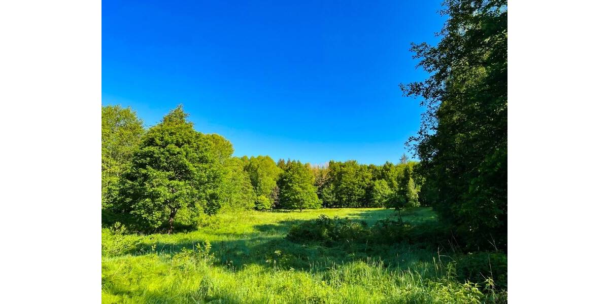 Bauernhaus, Landhaus Neustadt Berthelsdorf - 5 Zimmer, 150 m&sup2;, 485.000&euro; | Angebot:25770653