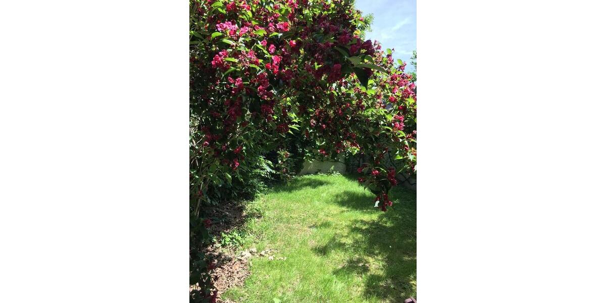 Einfamilienhaus Bonn Gielgen - 1 Zimmer, 24 m&sup2;, 465&euro; | Angebot:25053914