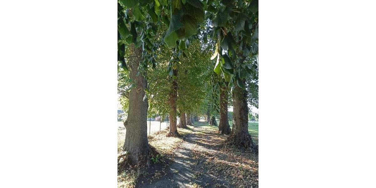 Ihr Schloß mit einer 5*Frühstückspension 3 zimmer