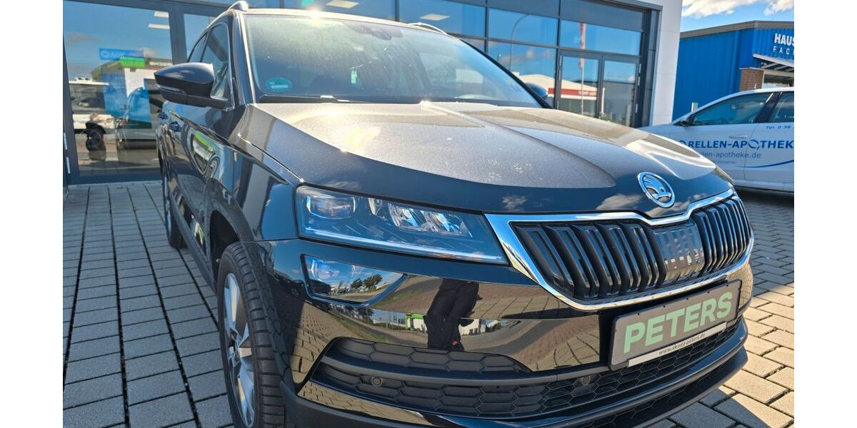 Skoda Karoq 42.250 km 28.940 &euro; Barth 18356