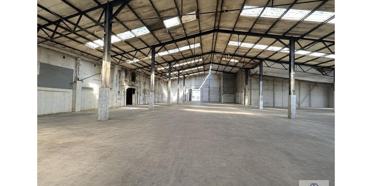 Gewerbeobjekt Neumünster Brachenfeld/Ruthenberg - 8.750&euro; | Angebot:25421193