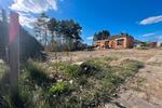 Grundstück Suderburg - 250&euro; | Angebot:21730291