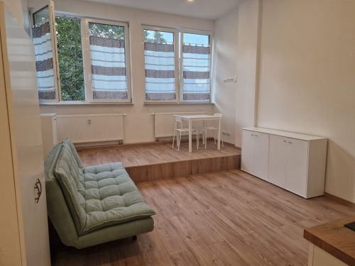 1-Zimmer-Appartement in 97421 Schweinfurt (10692) - Etagenwohnung Schweinfurt Schweinfurt | Angebot:26844283