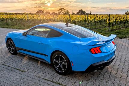 Ford Mustang 21.000 km 38.000 &euro; Osthofen 67574