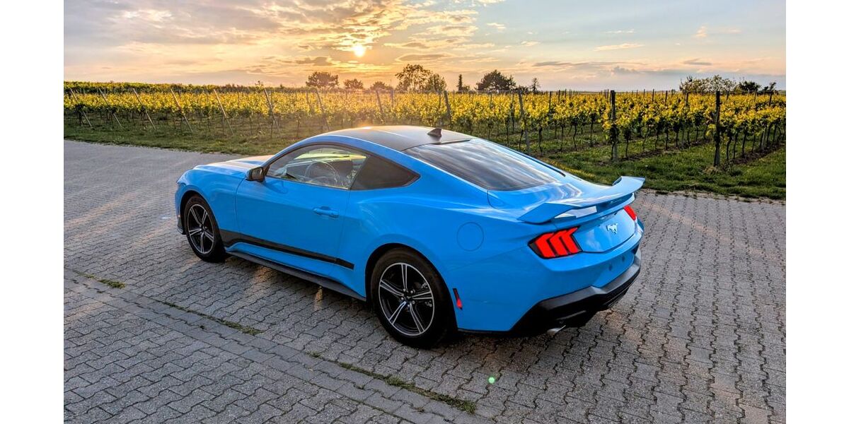 Ford Mustang 21.000 km 38.000 &euro; Osthofen 67574