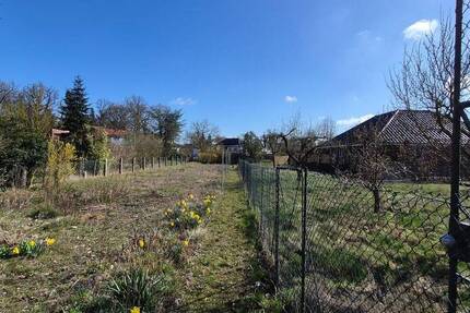 Stadtnahes Wohnen auf großem Grundstück - Viel Platz für Ihre Ideen - Haus Dannenberg | Angebot:26019453