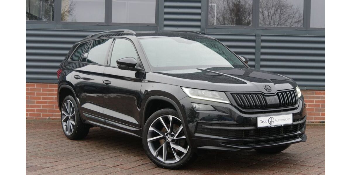 Skoda Kodiaq 131.250 km 24.490 &euro; Schneeberg 08289