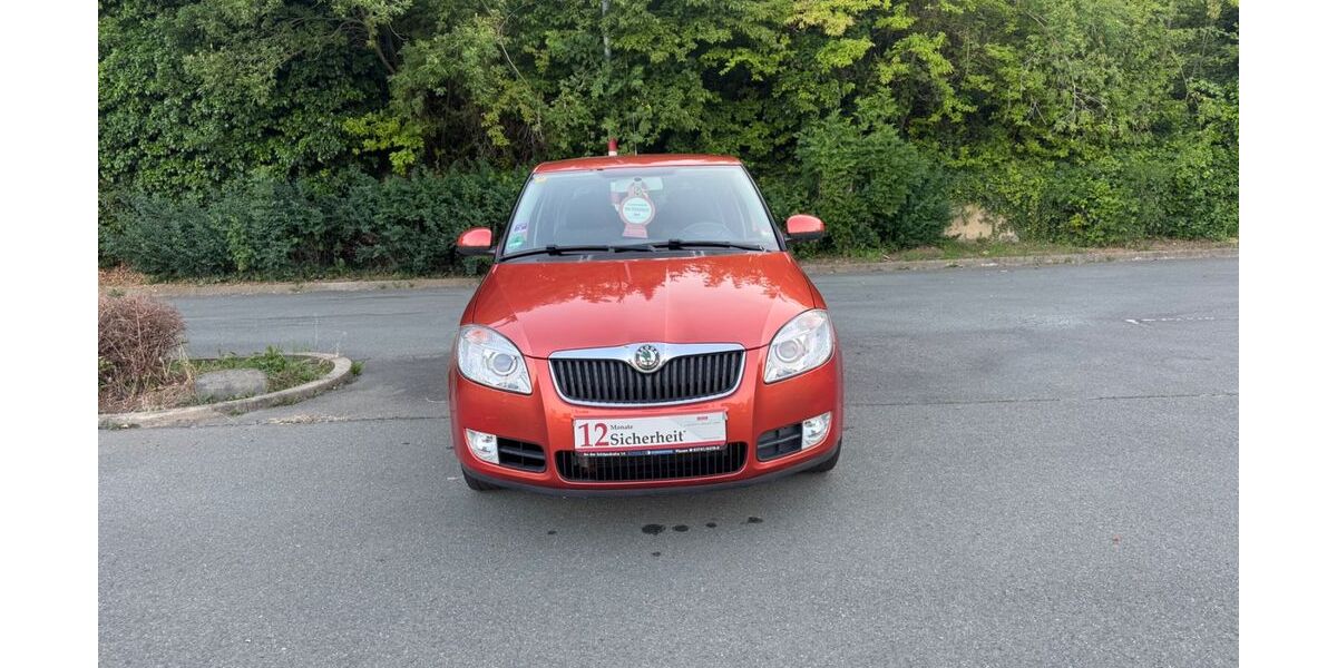 Skoda Fabia 135.243 km 3.400 &euro; Plauen 08525