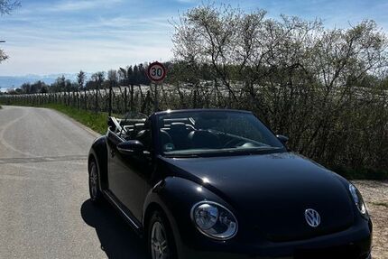 VW Beetle