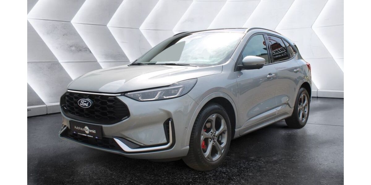 Ford Kuga 23.900 km 32.290 &euro; Waldkirch 79183