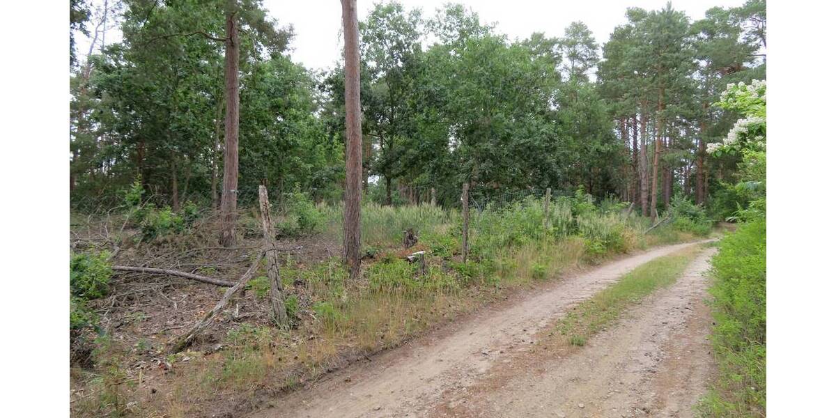 Grundstück Mittenwalde Töpchin - 68.650&euro; | Angebot:25667921