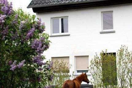 Haus Lumpzig Großbraunshain - 3 Zimmer, 87 m&sup2;, 85.000&euro; | Angebot:25770608