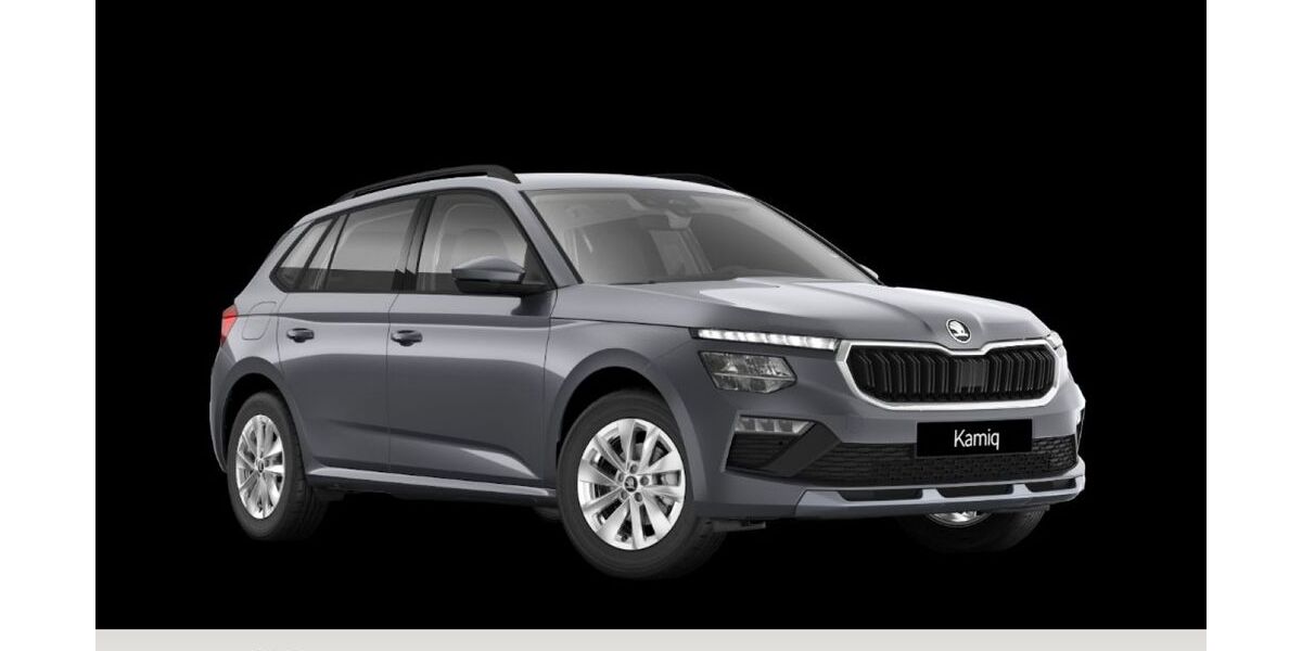 Skoda Kamiq 1.500 km 29.770 &euro; Goslar 38644