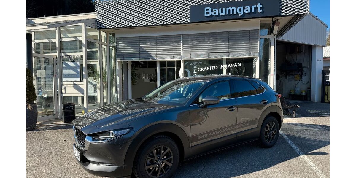 Mazda CX-30 2.000 km 30.999 &euro; Altensteig 72213