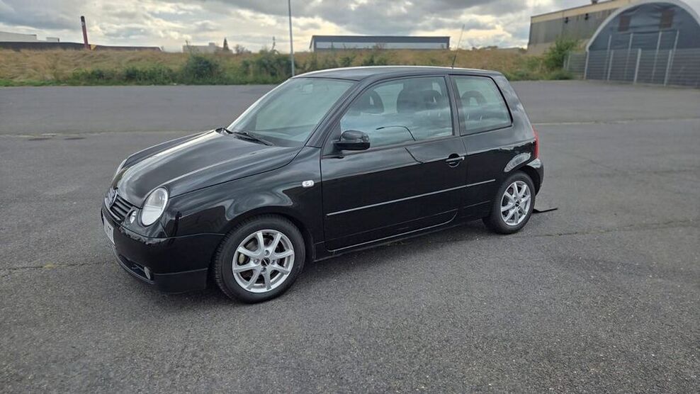 Lupo