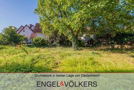 Grundstück Deidesheim - 355.000&euro; | Angebot:24027451
