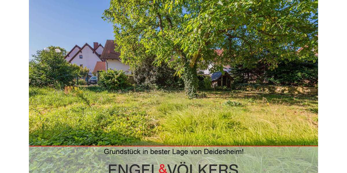 Grundstück Deidesheim - 355.000&euro; | Angebot:24027451