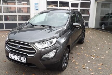 Ford EcoSport 32.100 km 13.650 € Rheine 48431