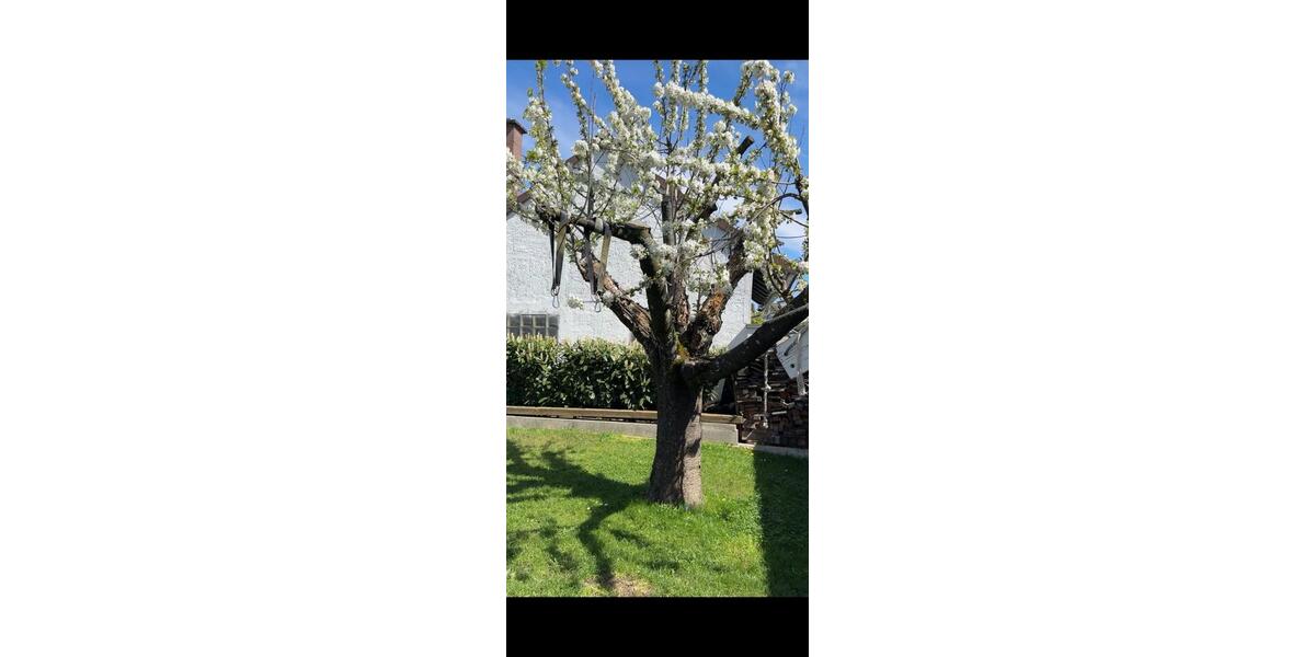Einfamilienhaus Rastatt - 4 Zimmer, 140 m&sup2;, 1.850&euro; | Angebot:26329949