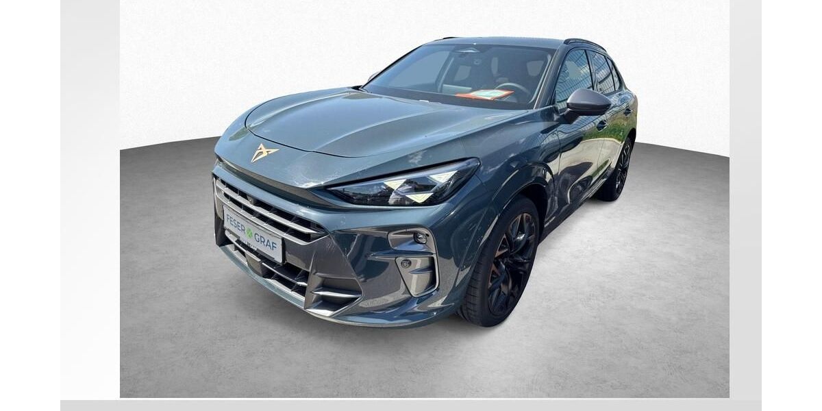 Cupra Terramar 14.000 km 42.450 &euro; Burgoberbach 91595