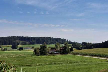 Haus Regen - 5.5 Zimmer, 144 m&sup2;, 690.000&euro; | Angebot:25235452