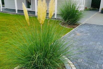 Wohnung Bassum - 1 Zimmer, 40 m&sup2;, 115.000&euro; | Angebot:25907017