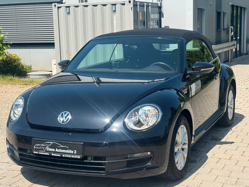 Beetle