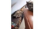 Etagenwohnung Darmstadt Bessungen - 1 Zimmer, 25 m&sup2;, 835&euro; | Angebot:25845357