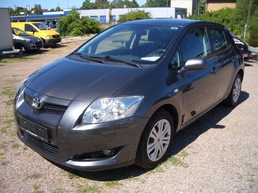 Auris